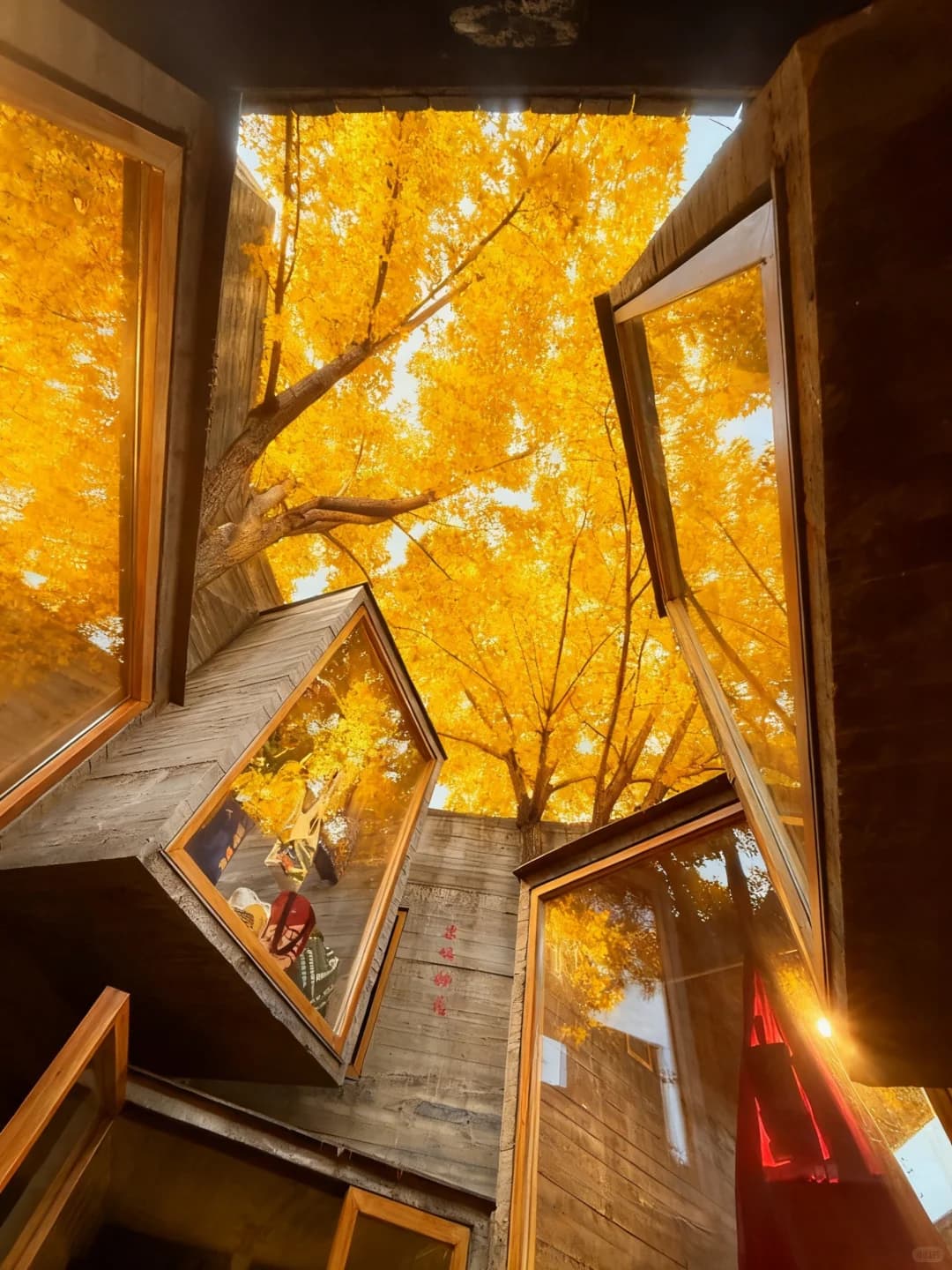 Exploring the Most Beautiful Hutong in Beijing: A Guide to Autumn Citywalks